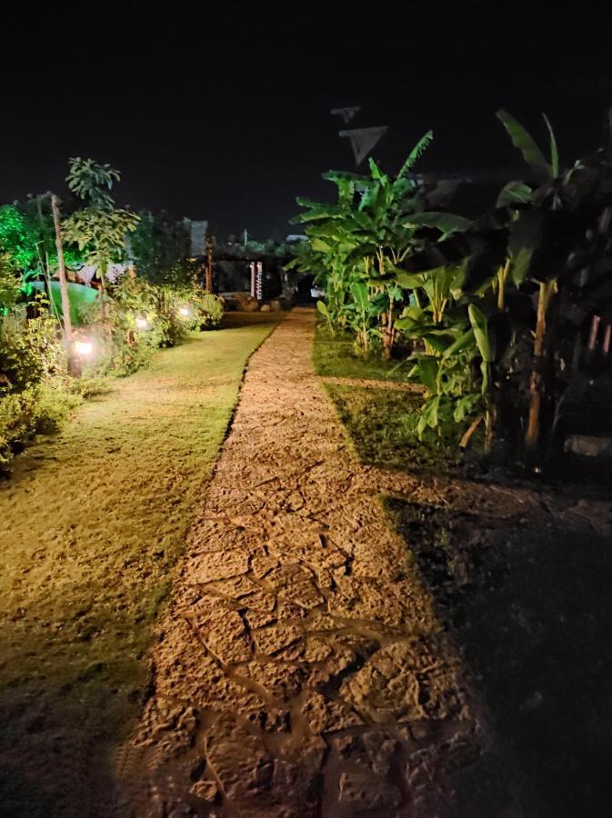 Guesthouse Vila Druri Dhërmi Exteriér fotografie