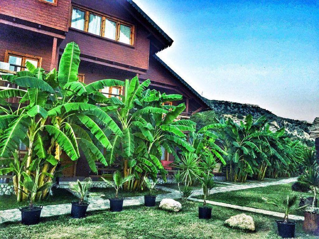 Guesthouse Vila Druri Dhërmi Exteriér fotografie